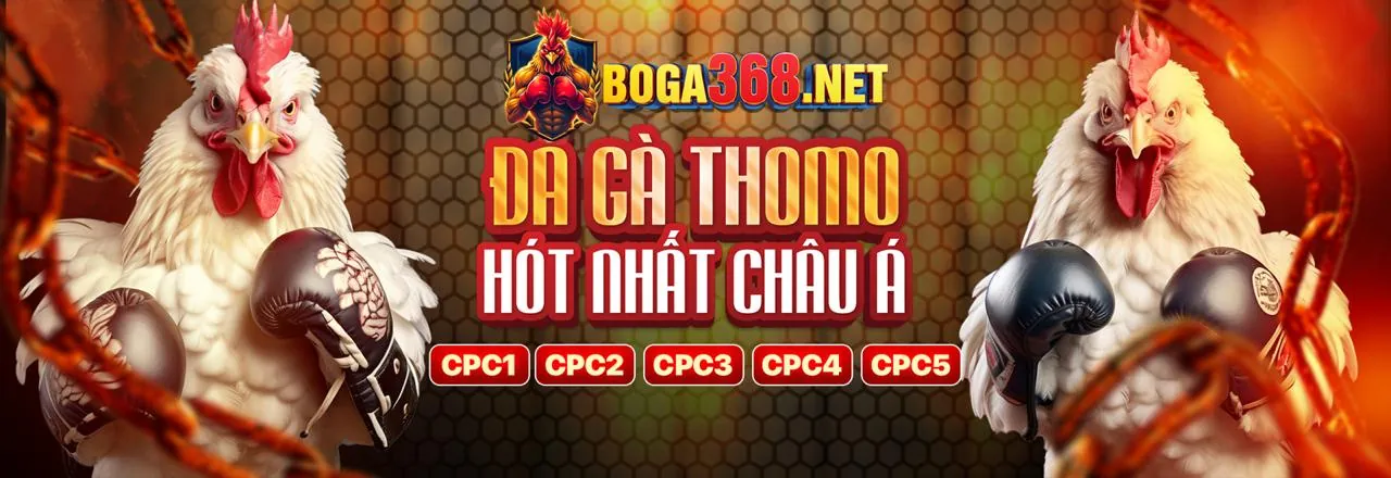 Hướng dẫn Nạp Rút Tiền 8fbet