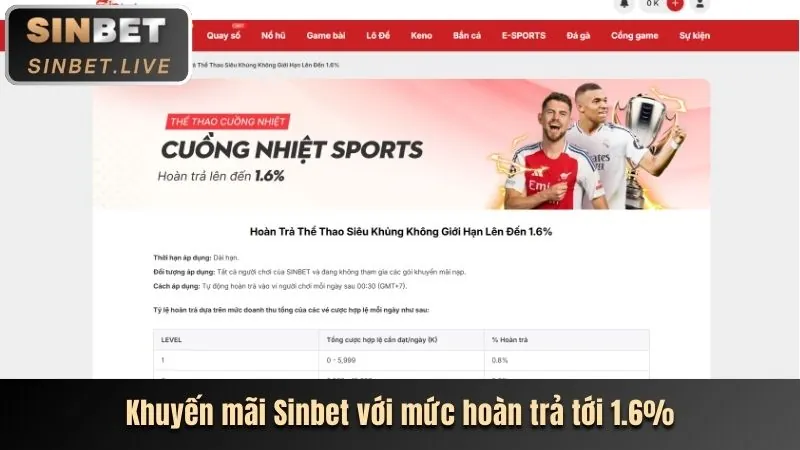 Cá cược bóng đá tại 8fbet